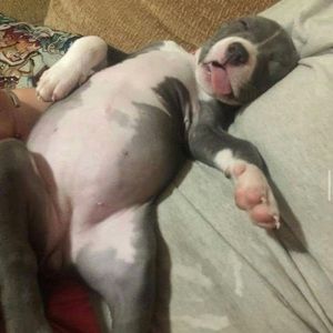 Meet your Posher, Aryanna